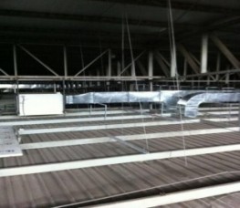 messageImage_1576142728161