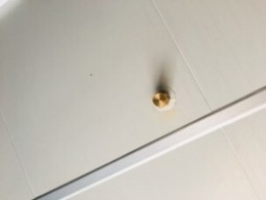 resize-1576227552354