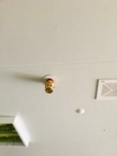 resize-1576227553382